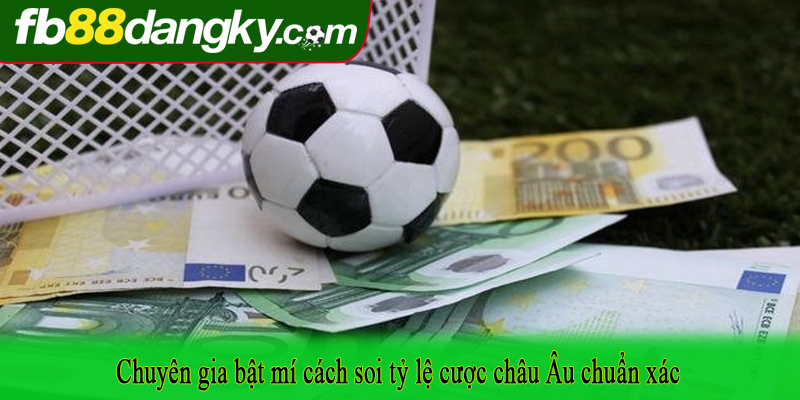 Chuyên gia bật mí cách soi tỷ lệ cược châu Âu chuẩn xác