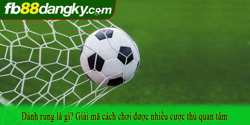 Đánh rung là gì? Giải mã cách chơi được nhiều cược thủ quan tâm