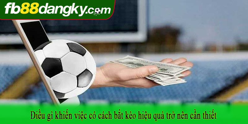 Điều gì khiến việc có cách bắt kèo hiệu quả trở nên cần thiết