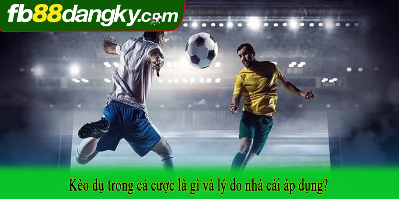 Kèo dụ trong cá cược là gì và lý do nhà cái áp dụng?