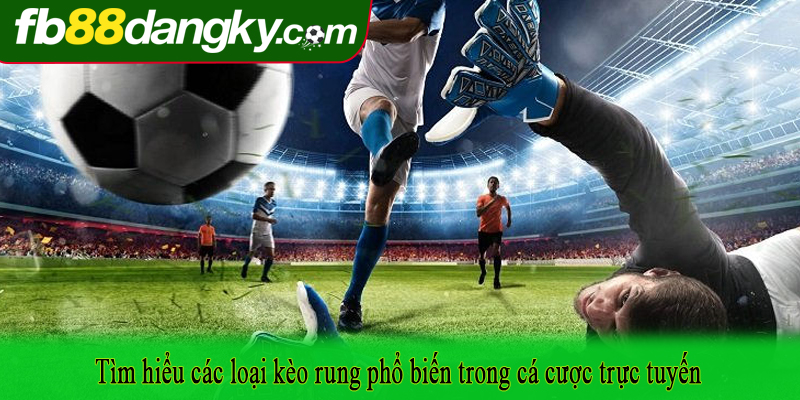 Tìm hiểu các loại kèo rung phổ biến trong cá cược trực tuyến