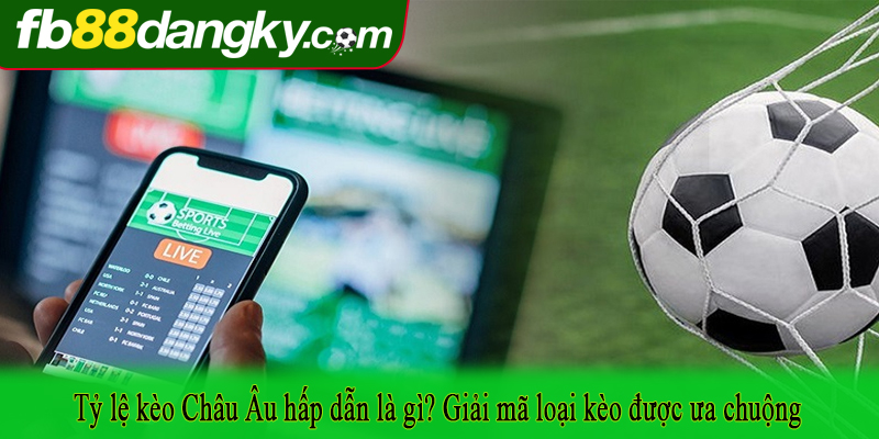 Tỷ lệ kèo Châu Âu hấp dẫn là gì? Giải mã loại kèo được ưa chuộng