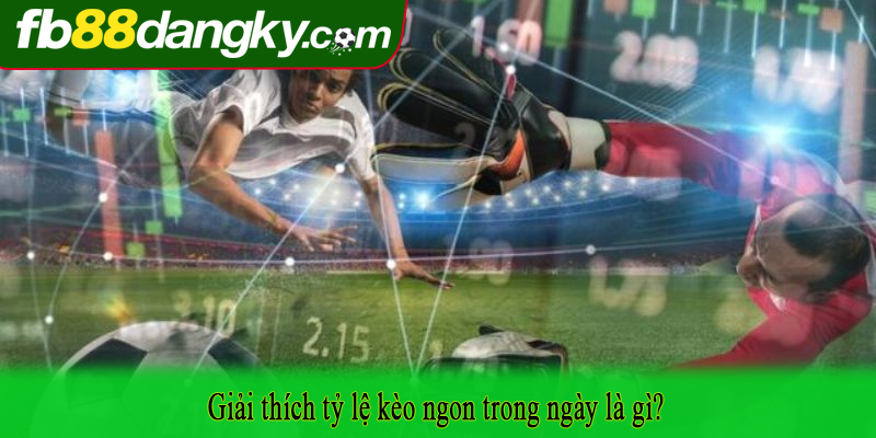 Giải thích tỷ lệ kèo ngon trong ngày là gì?