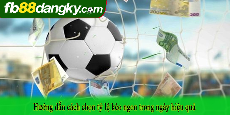 Hướng dẫn cách chọn tỷ lệ kèo ngon trong ngày hiệu quả