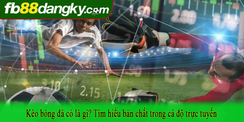 Kèo bóng đá cỏ là gì? Tìm hiểu bản chất trong cá độ trực tuyến