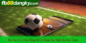 mẹo soi tỷ lệ kèo bóng đá cỏ