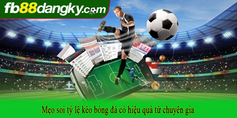 Mẹo soi tỷ lệ kèo bóng đá cỏ hiệu quả từ chuyên gia