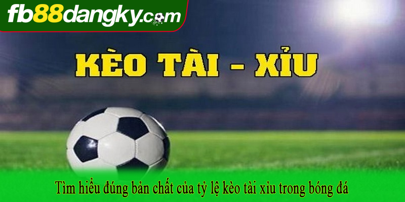 Tìm hiểu đúng bản chất của tỷ lệ kèo tài xỉu trong bóng đá