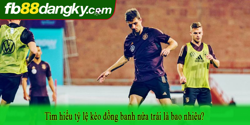 Tìm hiểu tỷ lệ kèo đồng banh nửa trái là bao nhiêu?