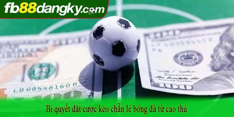 Bí quyết đặt cược kèo chẵn lẻ bóng đá từ cao thủ