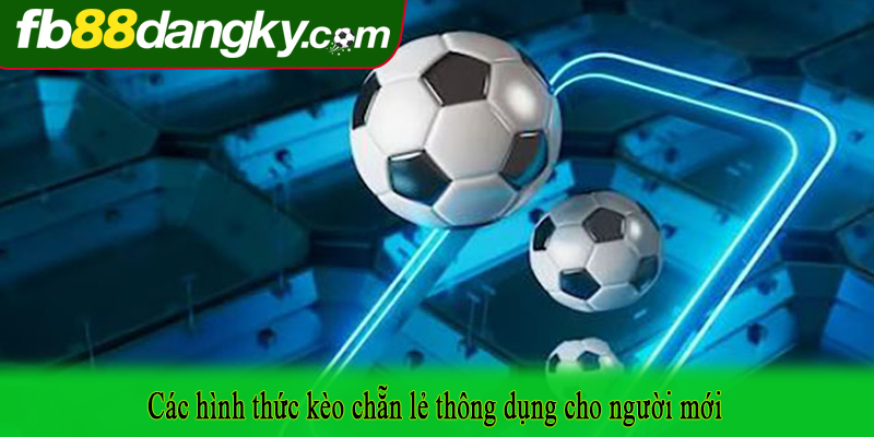 Các hình thức kèo chẵn lẻ thông dụng cho người mới
