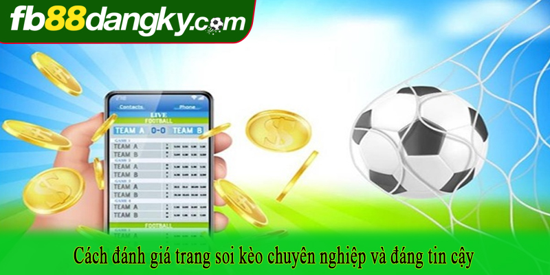 Cách đánh giá trang soi kèo chuyên nghiệp và đáng tin cậy