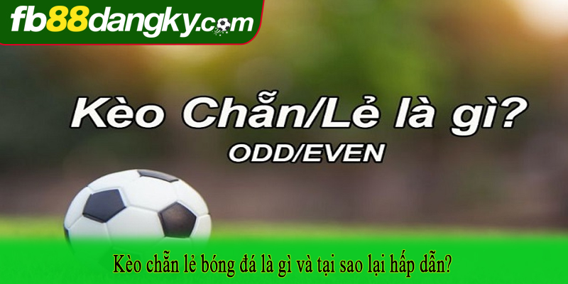 Kèo chẵn lẻ bóng đá là gì và tại sao lại hấp dẫn?